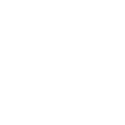 Logo White
